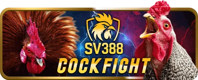 Ưu đãi đăng ký mới tại mig8 bet